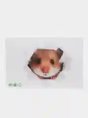 Фиолетовый наклейка для декора и интерьера "Котёнок", 3D