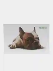 Черный наклейка для декора и интерьера "Котёнок", 3D