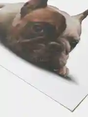Черный наклейка для декора и интерьера "Котёнок", 3D