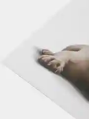 Черный наклейка для декора и интерьера "Котёнок", 3D