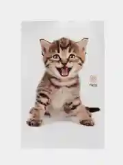 Синий наклейка для декора и интерьера "Котёнок", 3D