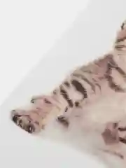 Синий наклейка для декора и интерьера "Котёнок", 3D