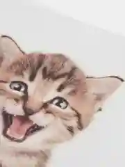 Синий наклейка для декора и интерьера "Котёнок", 3D
