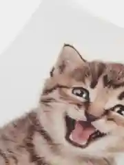 Синий наклейка для декора и интерьера "Котёнок", 3D
