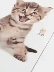 Синий наклейка для декора и интерьера "Котёнок", 3D