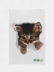 Голубой наклейка для декора и интерьера "Котёнок", 3D
