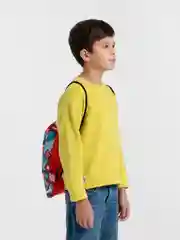 Алый мешок для обуви