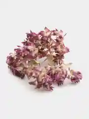 Душица "Матрешка" ручного сбора, 30 г
