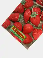 Семена земляники, 2 вида, ремонтантная, 0,04 г
