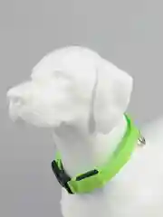Зеленый светящийся ошейник на usb,батарее,ошейник для собак,кошек,животных