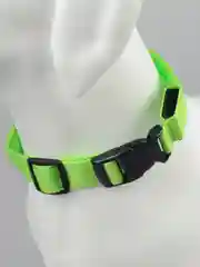 Зеленый светящийся ошейник на usb,батарее,ошейник для собак,кошек,животных