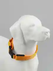 Оранжевый светящийся ошейник на usb,батарее,ошейник для собак,кошек,животных