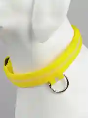 Желтый светящийся ошейник на usb,батарее,ошейник для собак,кошек,животных
