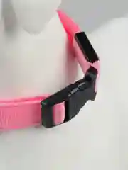 Розовый светящийся ошейник на usb,батарее,ошейник для собак,кошек,животных