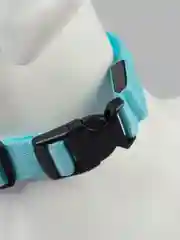 Голубой светящийся ошейник на usb,батарее,ошейник для собак,кошек,животных