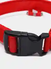 Красный светящийся ошейник на usb,батарее,ошейник для собак,кошек,животных