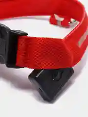 Красный светящийся ошейник на usb,батарее,ошейник для собак,кошек,животных