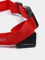 Красный светящийся ошейник на usb,батарее,ошейник для собак,кошек,животных