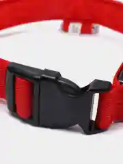 Красный светящийся ошейник на usb,батарее,ошейник для собак,кошек,животных
