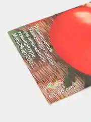 Семена Томат "Айсберг"