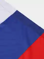 Флаг Российской Федерации, 90 х 150 см