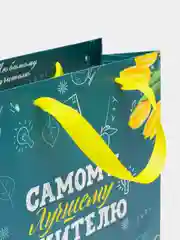 Зеленый подарочный ламинированный пакет "Учителю, преподавателю или воспитателю года"