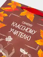 Бордовый подарочный ламинированный пакет "Учителю, преподавателю или воспитателю года"