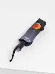 Зонт