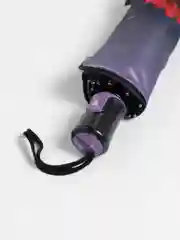 Зонт