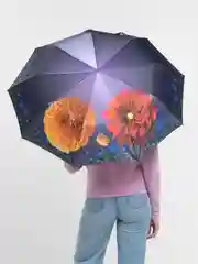Зонт