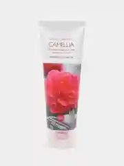 Очищающая увлажняющая пенка для лица с камелией Holika Holika Daily Garden Camellia 120 мл