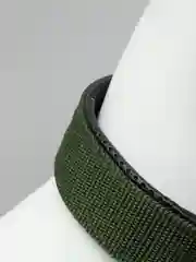 Зеленый прочный ошейник с подкладкой, для крупных собак
