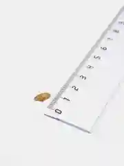 Золотой накладки-антицарапки на когти для кошек