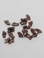 Угольный накладки-антицарапки на когти для кошек