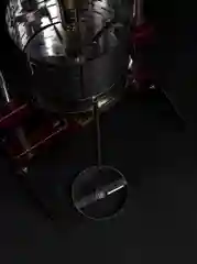 Багровый соковыжималка механическая, ручная, пресс