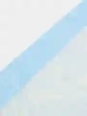 Пеленки для животных, 60*40 см, 5, 10, 20 штук
