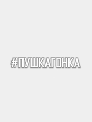Наклейка на авто #ПУШКАГОНКА