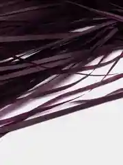 Тёмно-бордовый бумажный наполнитель (стружка) тишью для подарков и подарочных коробок
