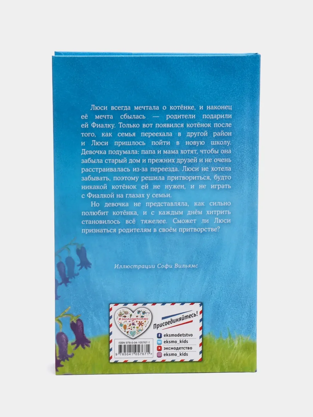 Котёнок Фиалка, или Коробка с сюрпризом, выпуск 9, Холли Вебб