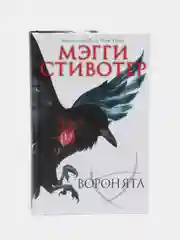 Воронята, Мэгги Стивотер