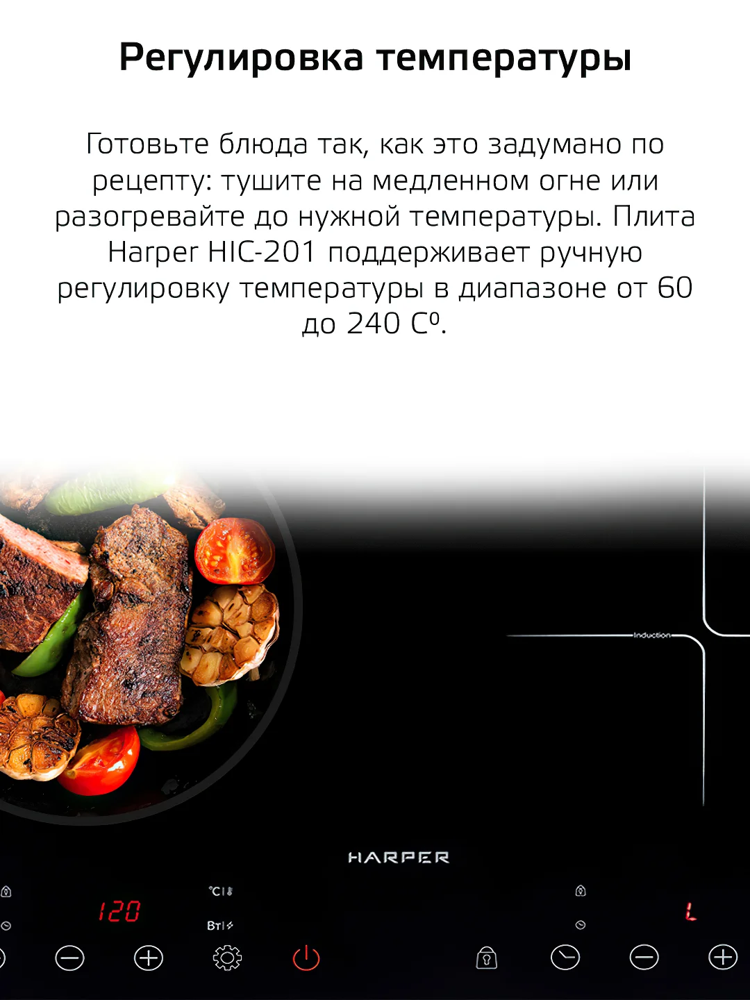 Черный индукционная плита HARPER HIC-201