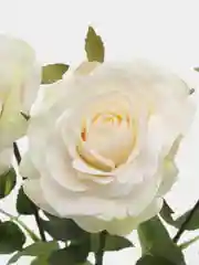 Белый искусственные цветы "Роза", 3 штуки