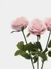 Конфетный искусственные цветы "Роза", 3 штуки