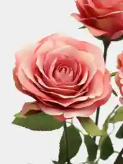 Кораллово-розовый искусственные цветы "Роза", 3 штуки