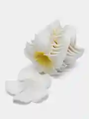 Белый искусственный цветок "Гавайский франжипани. Плюмерия", 10 штук
