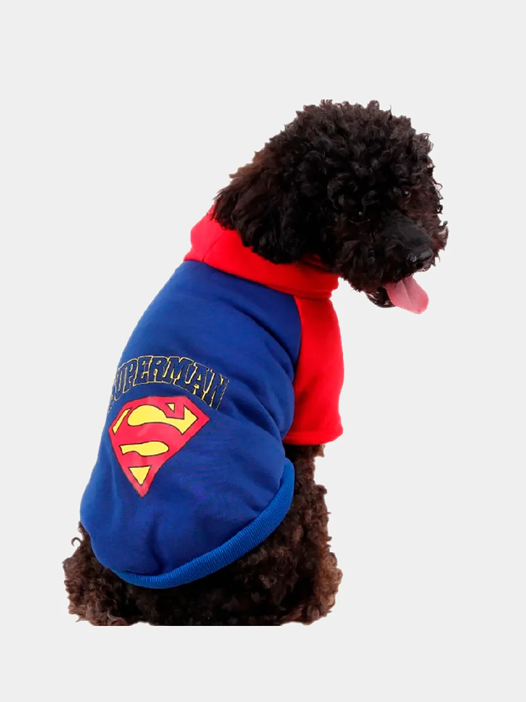Синий толстовка для собак и кошек Superman, с капюшоном