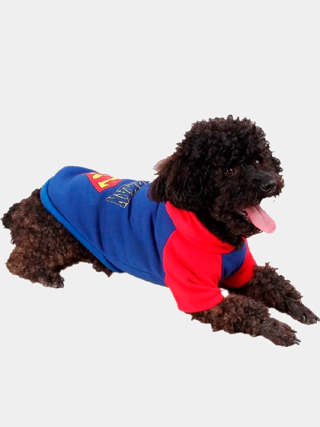 Синий толстовка для собак и кошек Superman, с капюшоном
