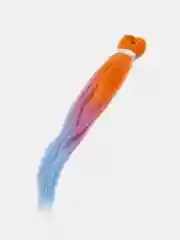 Фиолетовый канекалоны зизи трёхцветные