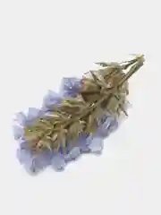 Голубой сухоцветы (Статица)