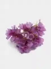 Фиолетовый сухоцветы (Статица)